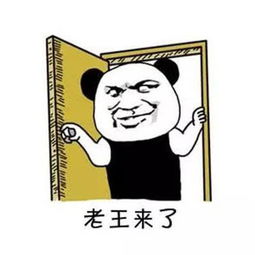  这只开门变绿的熊猫火了老婆我回来了,天呐你们在干什么