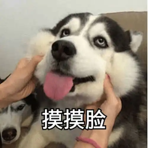  你用过哪些超级暖的安慰人的表情包
