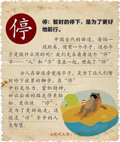  看懂了汉字,看懂了人生