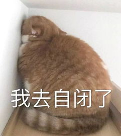 自闭表情包我自闭了
