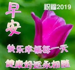 生活累的图片表情包早上