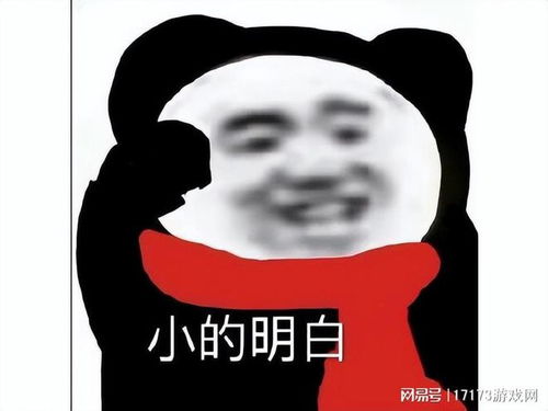 2018熊猫人搞笑表情包沙