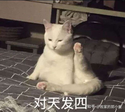  上班上学想带饭厨房缺少食物盒几款高性价比饭盒让你随时享用美味