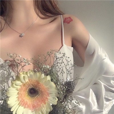  优质女生部位图锁骨