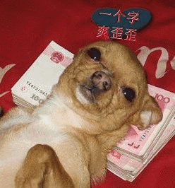  搞笑gif段子吃货的本领就是能想尽一切办法吃