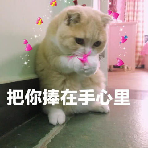  表情包单身的快乐你根本想象不到