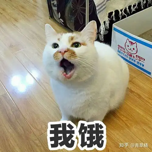  为什么每次包饺子饺子馅最后都会像丸子一样,很难吃