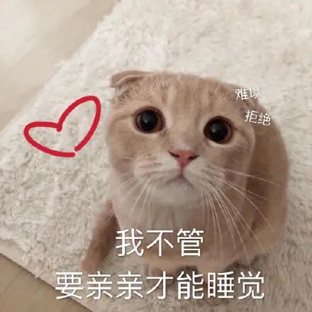  表情包猫爱你