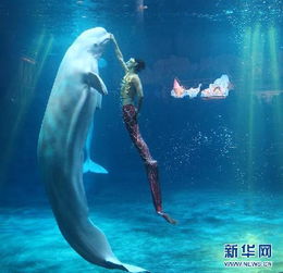  临安新闻网图片集萃