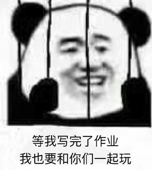我作业写完了表情包表情