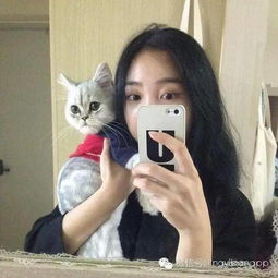 手机挡脸女生头像大全