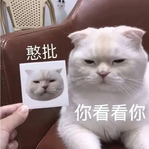  表情包没钱真的很难办事
