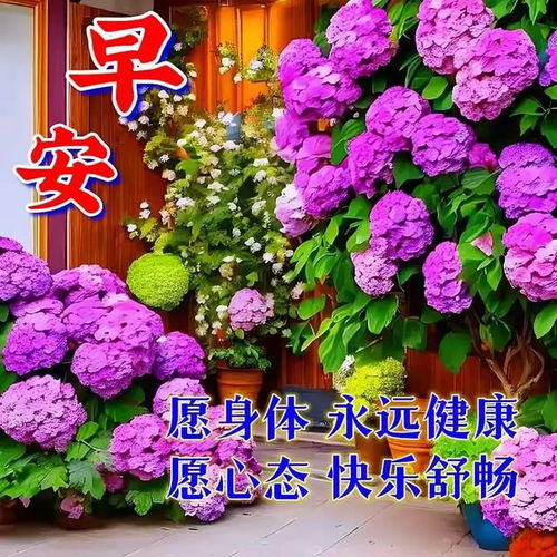 女人用的幸运花头像2024