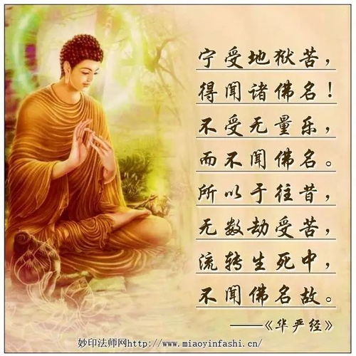微信头像佛带名字