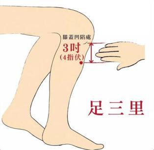  防秋燥,贴秋膘