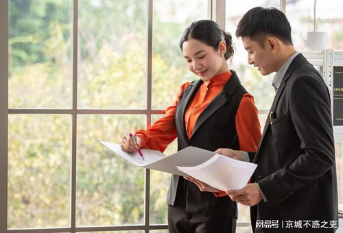 体制内新人小江的入圈尝试