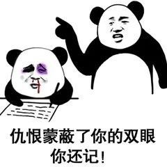 记日记表情包