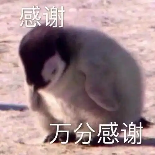  超实用全是感谢表情包,春节抢红包必备