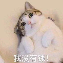  飞车代言人,无比忙碌的一天