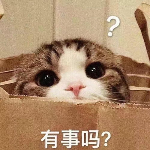  好端端的演员朱亚文,非要挤出一个人设吗