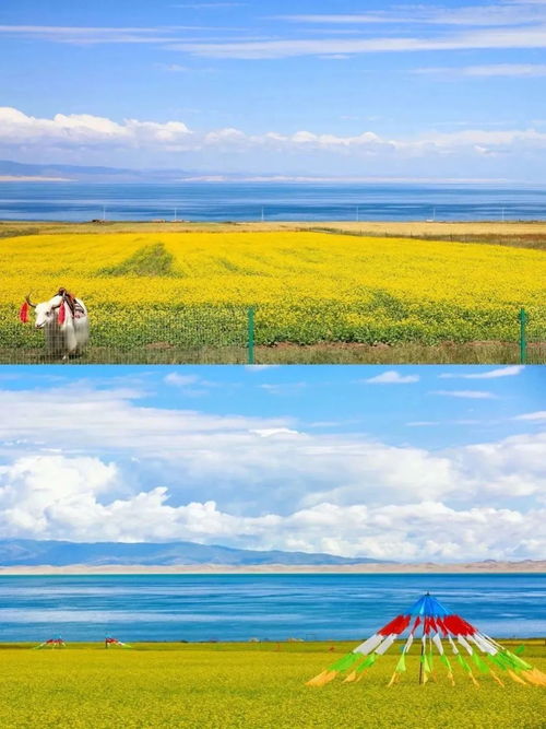  颜值不输新疆,这个风光极致的地方,6月将美成人间仙境