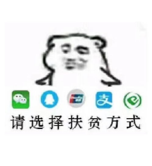 要钱专用表情包复制的雷