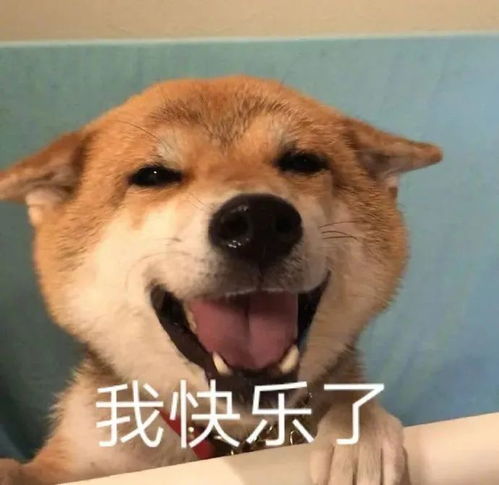  表情包丨夏温表情包动图抖音跳舞