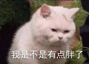  快来斗图第一弹