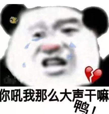  熊猫头表情包i你难道就没有一点羞耻之心吗