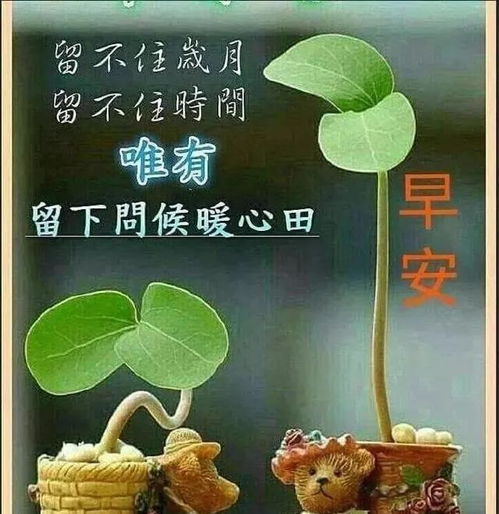  早安心语最美的正能量短句,好看的早上好问候表情图片