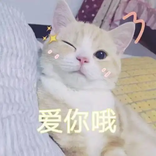  杂坛