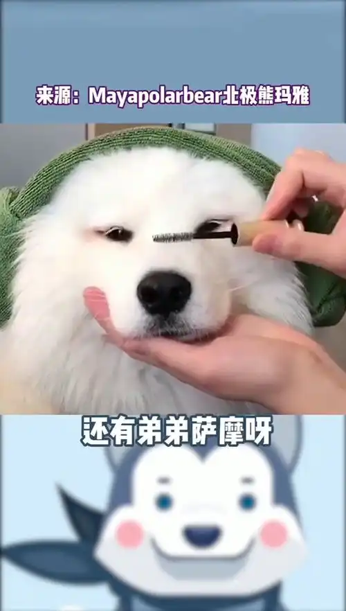  雪橇三傻的拆家之歌