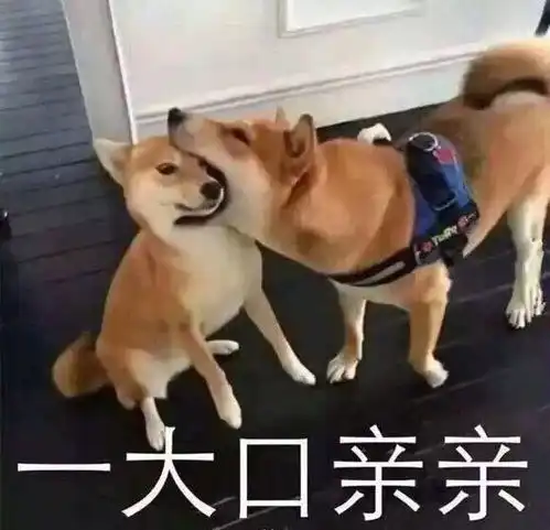 柴犬跳表情包抽走