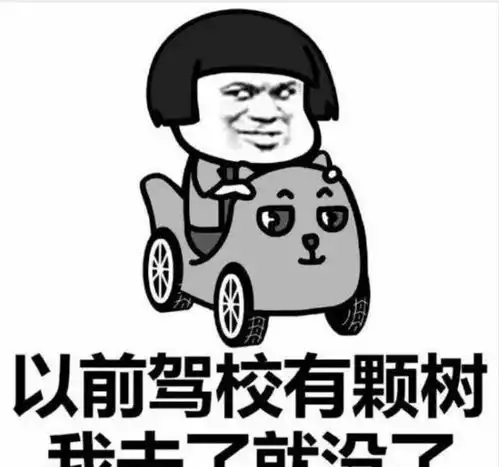  即将播出的暑期档新手驾到,嘉宾阵容超期待,你最想pick谁