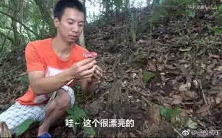  华农兄弟你是魔鬼吗竟让广东人都瑟瑟发抖除了它,我们还能看这些吃播下饭...