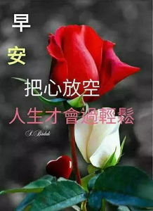  早上表情问候语早上好图片动态大全