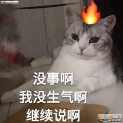  你说的都对但我并不会改熊猫表情包你给我乖一点可爱小女孩表情包下载乐游网游戏下载