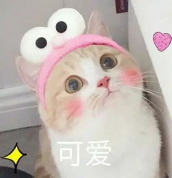  迎新篇听说一大波萌新已涌入黑科大