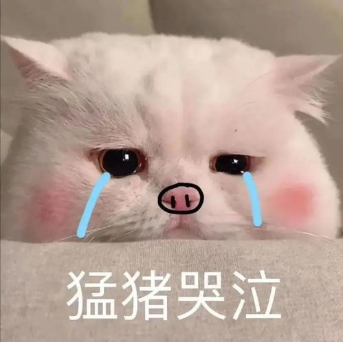  香港校医院看病开药居然不收费港校生的隐形福利你还不知道吗