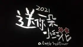  2021第一天从看粉丝包场的小红花开始