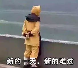  文言文骂人不带脏字,但比粗口还痛快