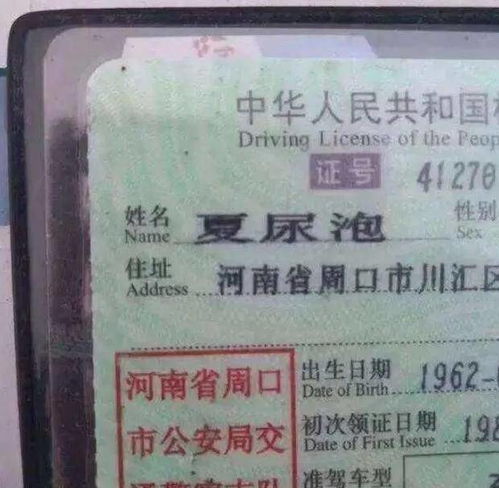  宝妈给娃起名姜林,护士办理出生证时打错字,宝妈看后笑开花