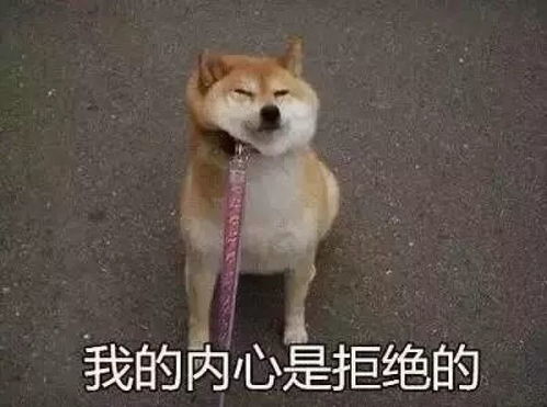  看完了这组奇葩候选人,好想抱抱自己的候选人啊
