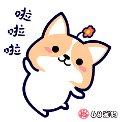  郧西师生家长所有教学资源免费国家中小学智慧教育平台上线