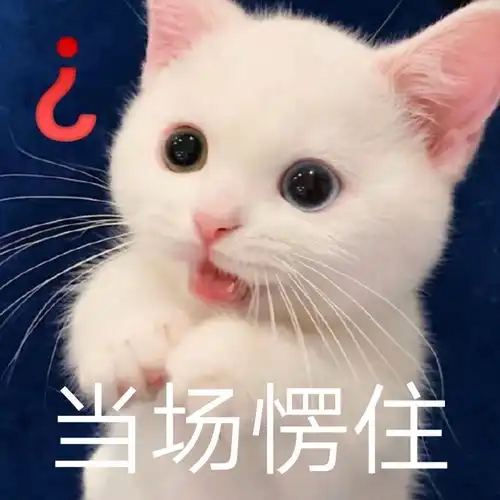 摸头表情包猫猫咪