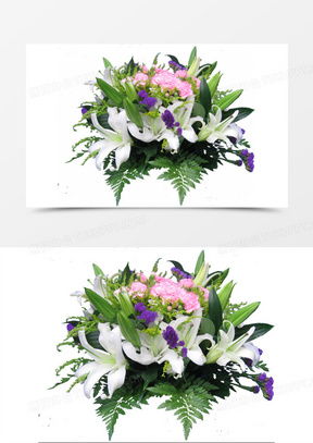  百合花图像微信头像大全