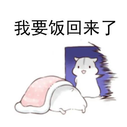 要饭表情包系列小仓鼠