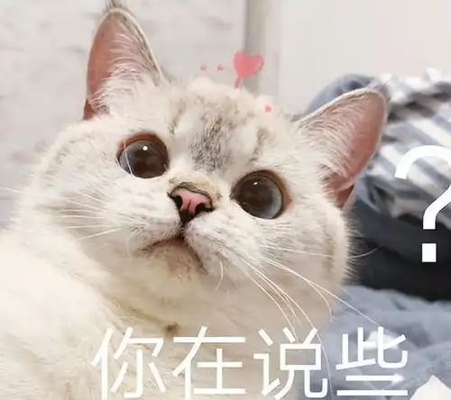  你养猫的最大动机是什么看到第一个已感同身受