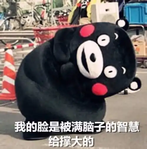  同是雪纳瑞,但性格大不同呢萌宠江湖