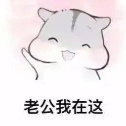  跟老公要钱的套路表情包老公,可以给我1块钱吗我想买小布丁